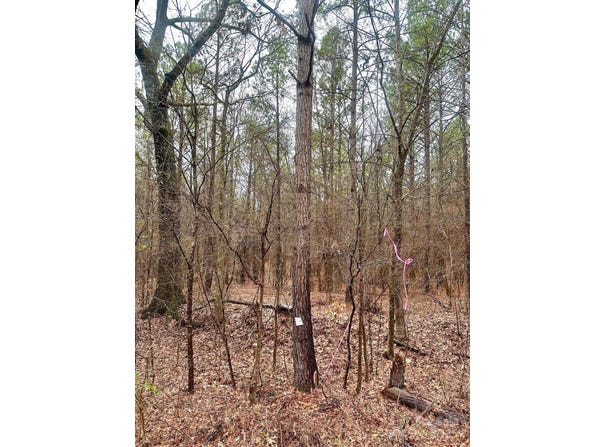 1176 Great Falls Highway, Chester, SC 29706