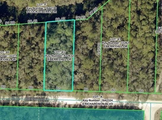 34338 BERRYHILL Drive, Webster, FL 33597