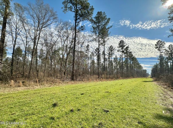 3 Dry Grove Road, Terry, MS 39170
