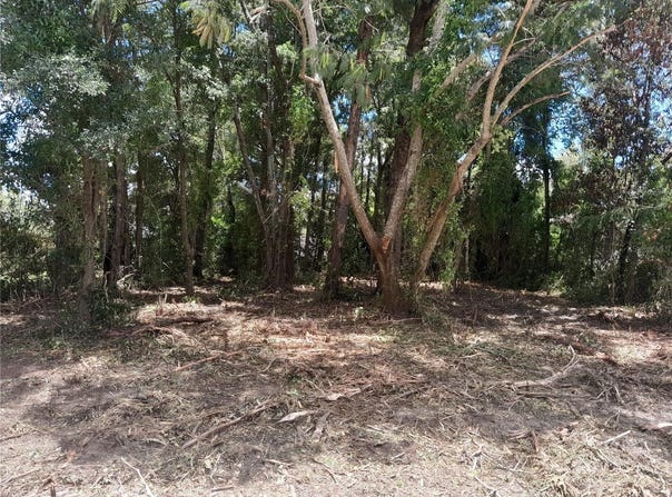 NE 48TH Street, WILLISTON, FL 32696