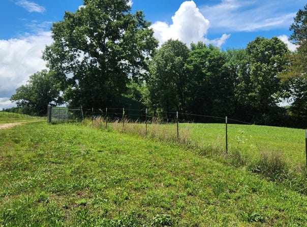 704 Deep Gap Road, Jackson, TN 38301