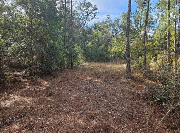 ROSEHILL Drive, WEBSTER, FL 33597