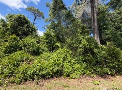 6475 E Seneca Street, Inverness, FL 34452