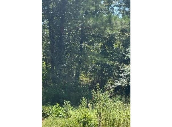 85 Top Notch Lane, Broken Bow, OK 74728