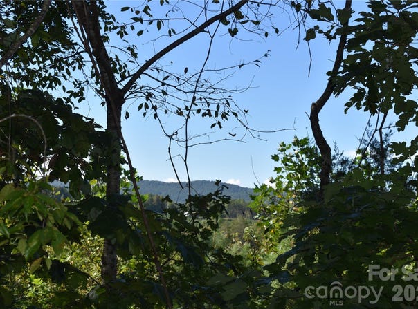 120 Woodmont Drive, Nebo, NC 28761