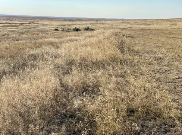 Parcel 1 or 2 County Road 109, Deer Trail, CO 80105