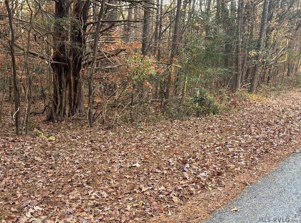 LOT 64 Windward Passage, Bracey, VA 23919
