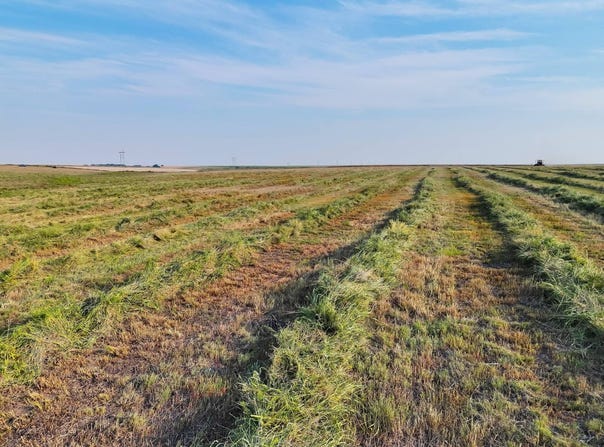 Road, Sharon Springs, KS 67758