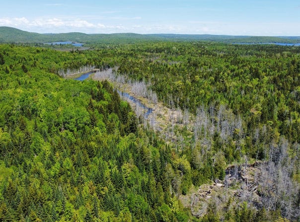Morrison Brook Acres lot: 10, Oakfield, ME 04763