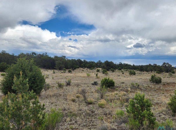 14 Conifer Circle, Pie Town, NM 87827