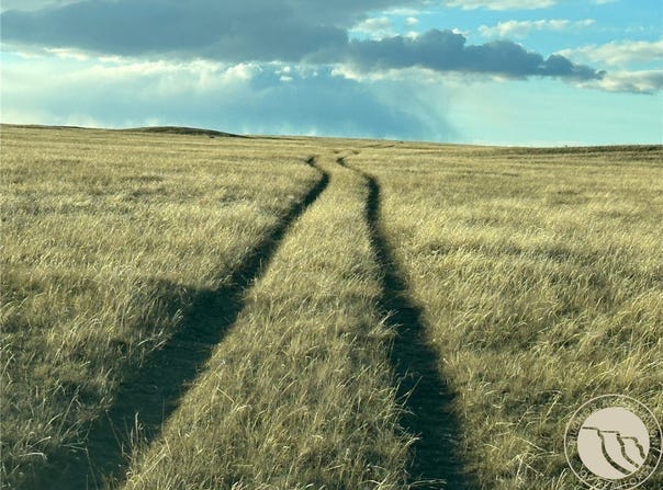 N Gage Road, Roundup, MT 59072