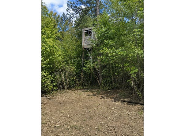 Chimney Road, Nevis, MN 56467