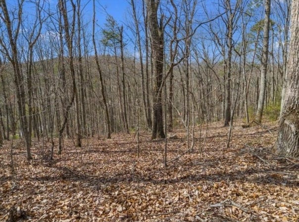 Pecan Tree Lane, Newport, TN 37821