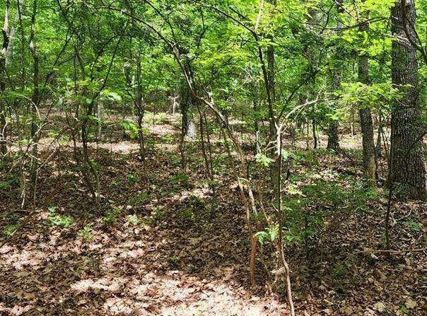 b020 Lakeview Trail, HOLLADAY, TN 38341