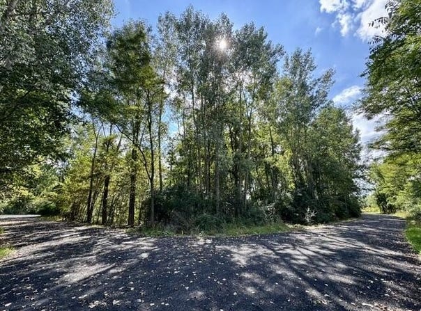 Heather Ridge Road, Marshall, MI 49068