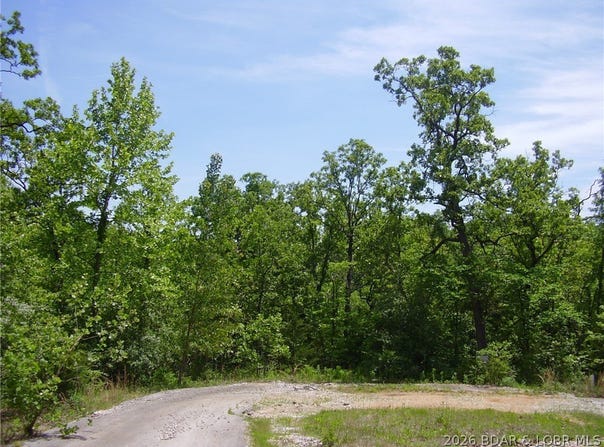 21 Silver Spur Court, Camdenton, MO 65020