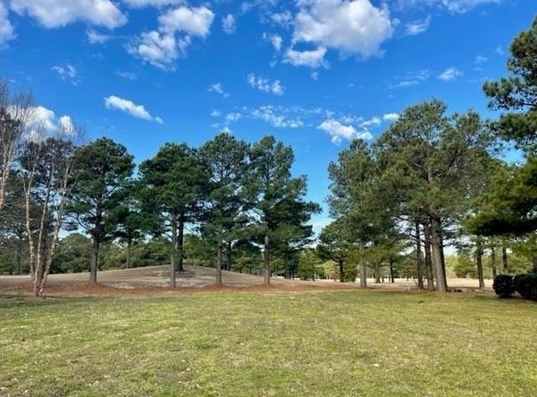 ARNIE'S LOOP lot: 48, CAPE CHARLES, VA 23310