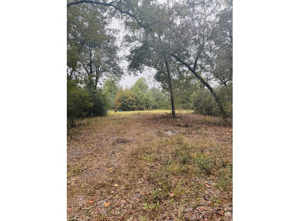 Fisk Road, Dorchester, SC 29437