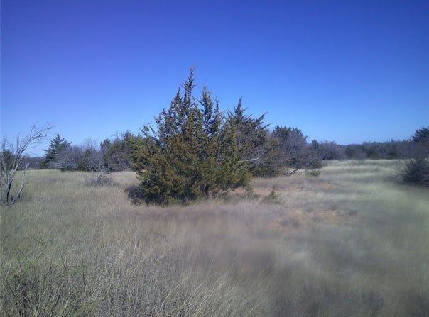 Tr 9 CR 1750, Chico, TX 76431