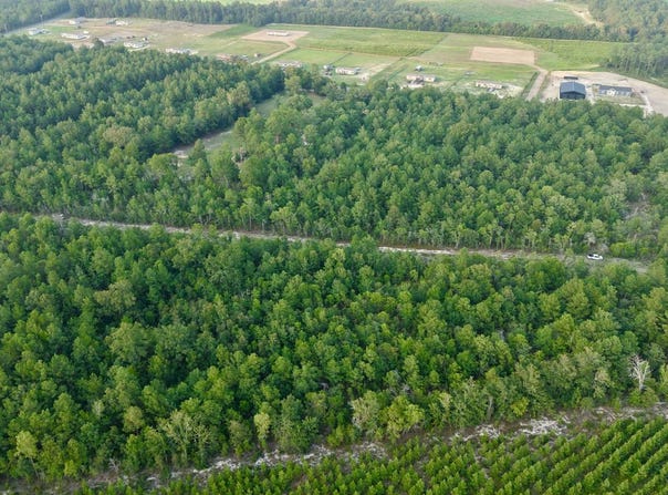 Charleston Highway, Williston, SC 29853