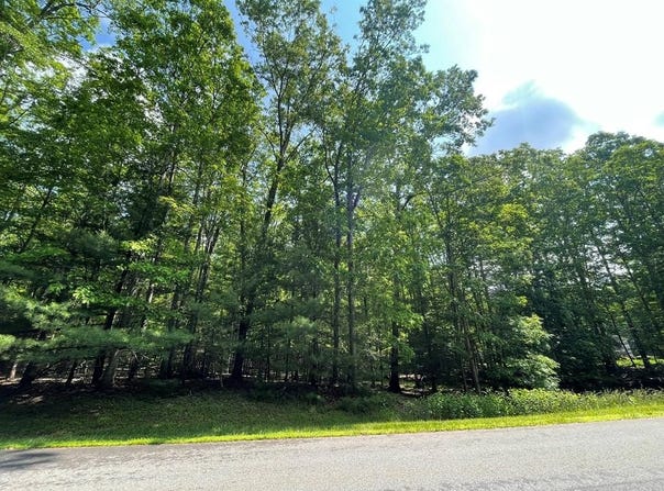 Saddlebrooke Ln, DANIELS, WV 25832