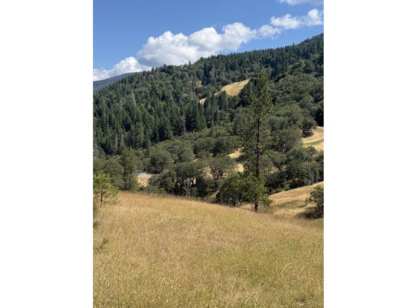 81 94th Street, Mad River, CA 95552