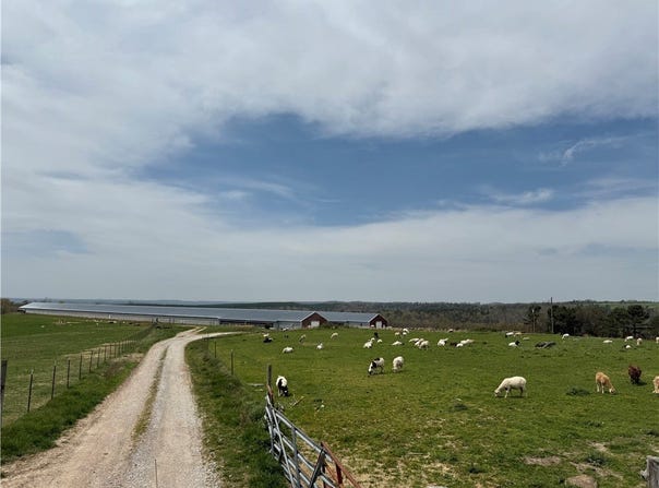 17883 Highway 263, Fox, AR 72051