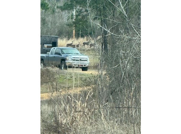 1111 Mount Olive Rd SE, Bogue Chitto, MS 39629