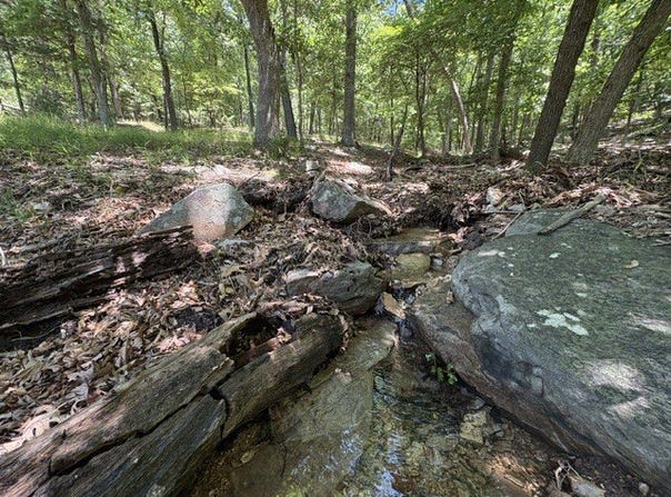 Maple Drive lot: 23-25, Garfield, AR 72732