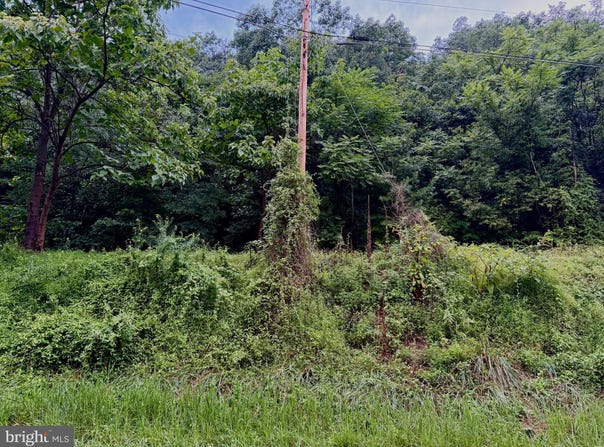 LUCAS HOLLOW Road lot: 11B, STANLEY, VA 22851