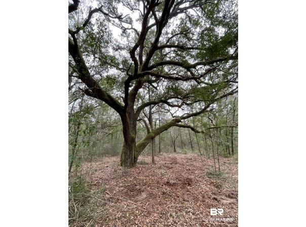 9847 S County Road 99, Lillian, AL 36549