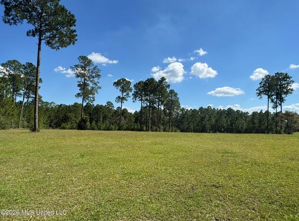 Towering Pines, Carriere, MS 39426