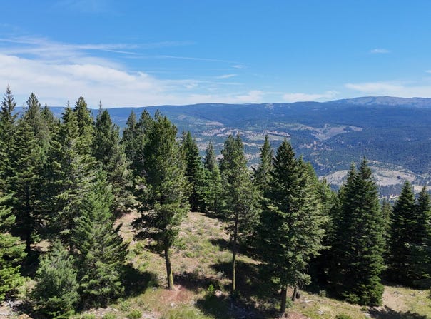 Union, OR 97883