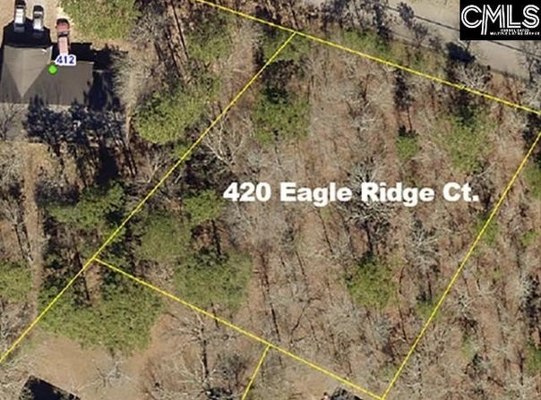 420 Eagle Ridge Court, Gaston, SC 29053