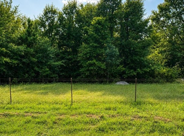 TRACT 5 HWY 990, Simms, TX 75574