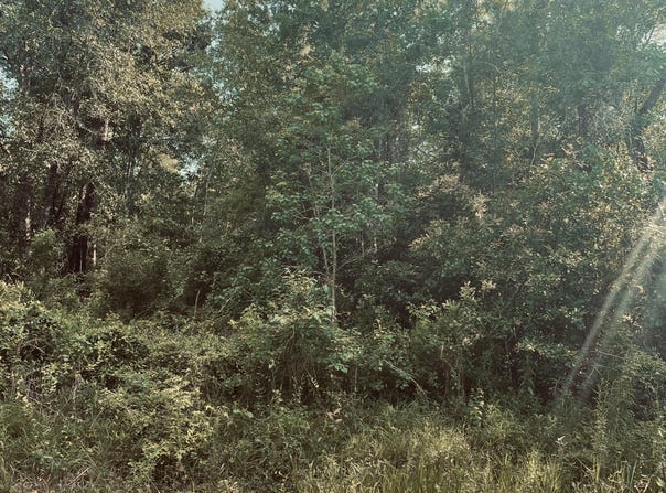 E Adams Street lot: 19&20, Bay Saint Louis, MS 39520