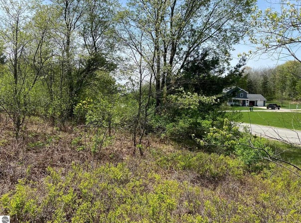 CRESTVIEW DRIVE, CADILLAC, MI 49601