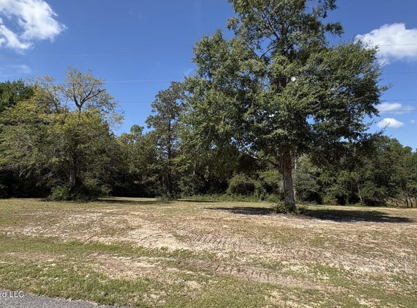 Pebble Brook Crossing lot: 8, Perkinston, MS 39573