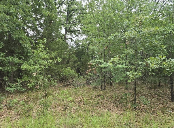 Kickapoo Trail lot: 1007, Mabank, TX 75156