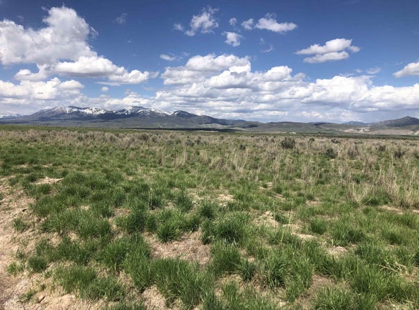 TBD Lot 4 Jenkins Rd, Arimo, ID 83214