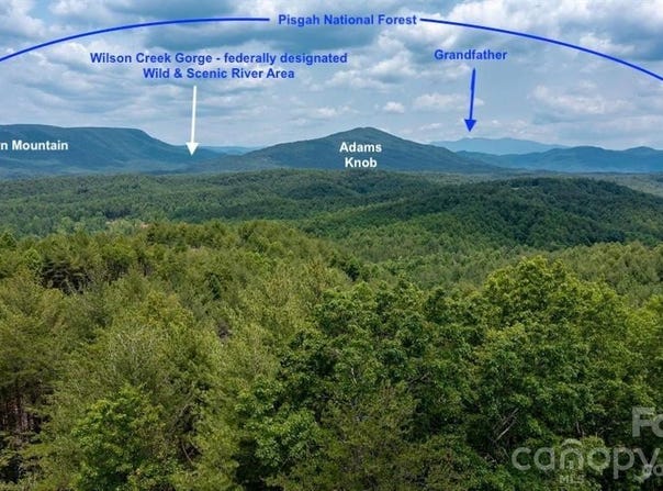 Box Turtle Run, Lenoir, NC 28645