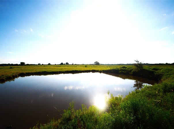 316 Flowing Wells Road, Pottsboro, TX 75076