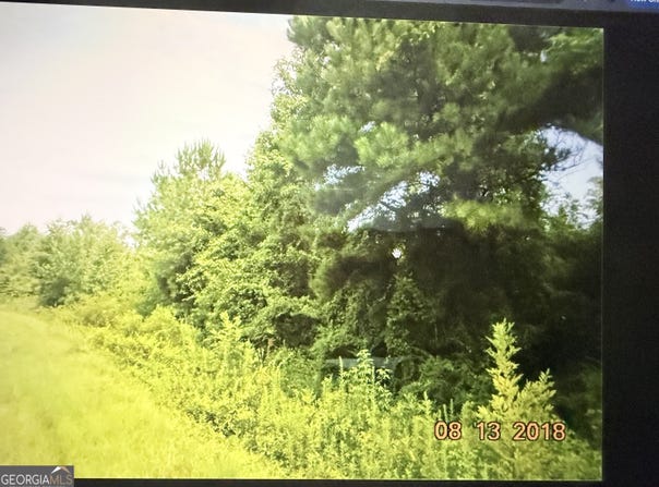 C017-020 Whitaker Road, Roberta, GA 31078