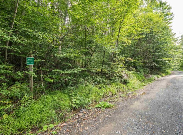 112 Hikers Challenge Road, Davis, WV 26260