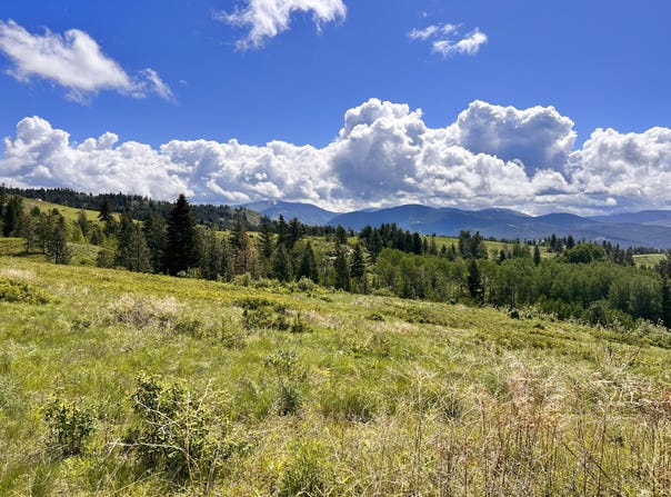 27 MOONLIGHT Dr, CURLEW, WA 99118