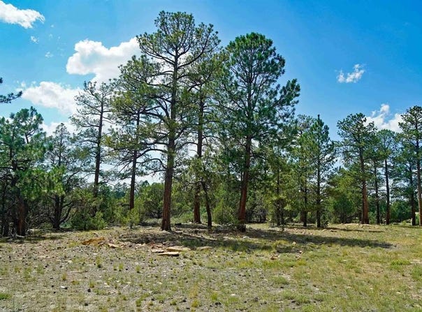 Hummingbird Trail, Ridgway, CO 81432