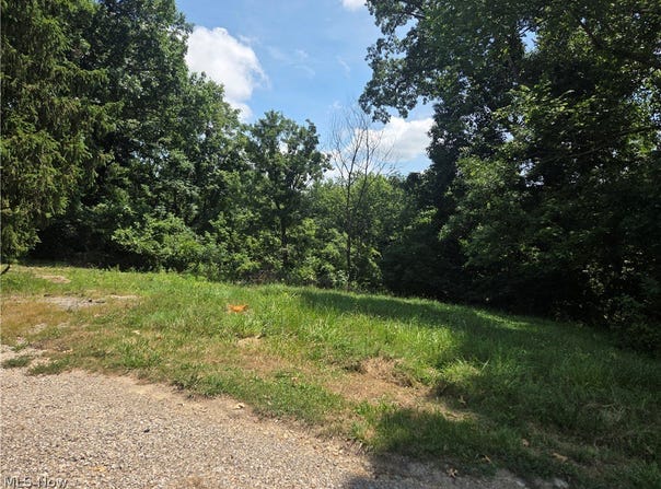 601 Orme Avenue, Cambridge, OH 43725