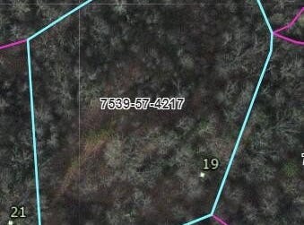 Frady Cove lot: 19, Sylva, NC 28779