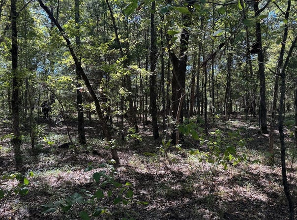 75 County Road 2115, Bagwell, TX 75412