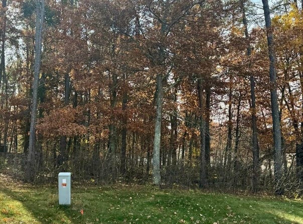 TBD Clearwater Road North, Baxter, MN 56425